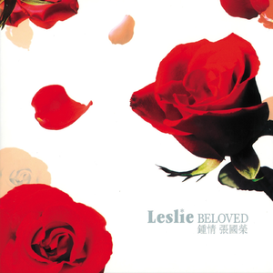 肏肥女人骚逼视频
