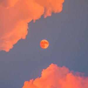 肏肥女人骚逼视频
